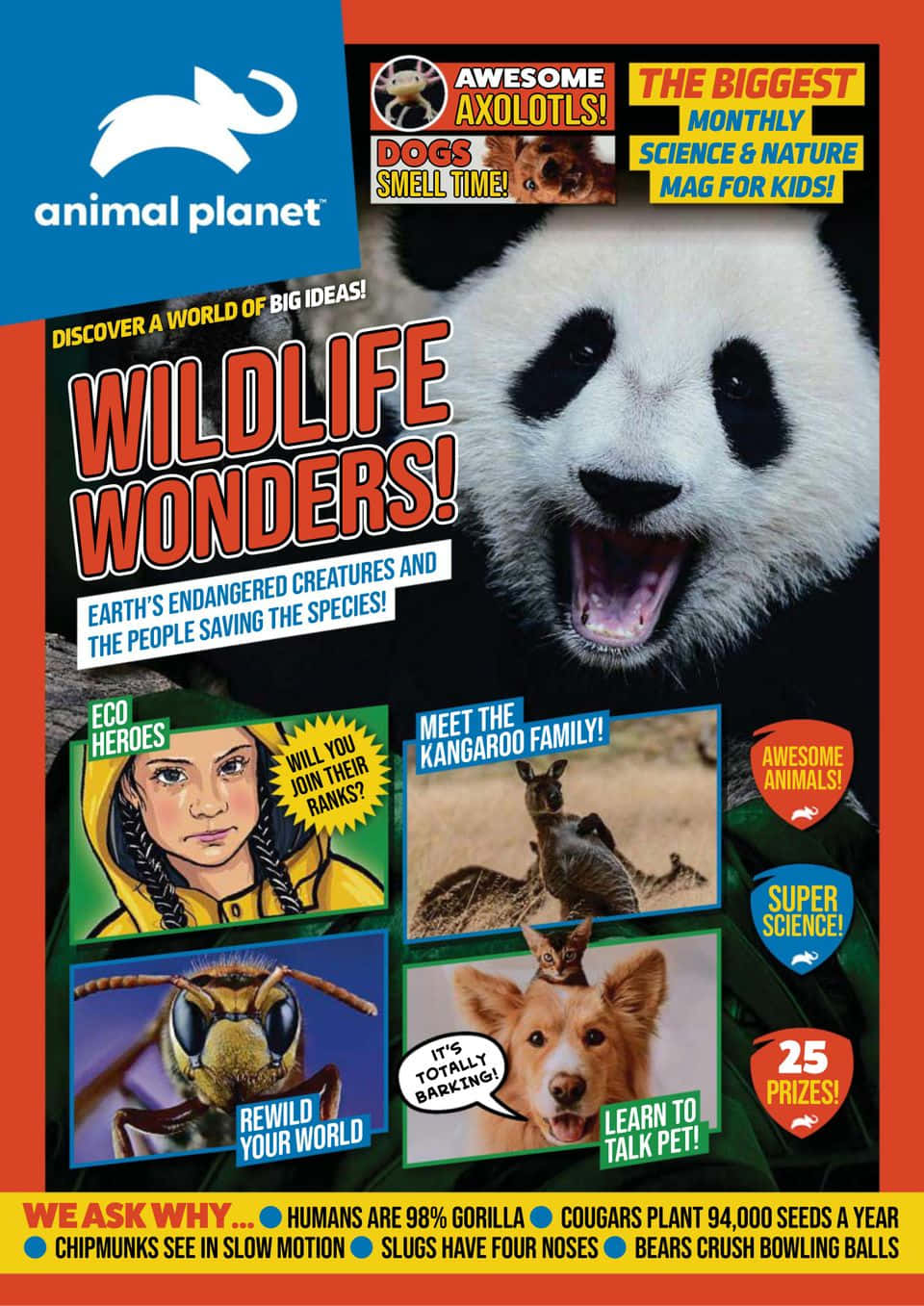 動物星球 桌布 壁紙 — 一個充滿活力的雜誌封面，上面有一隻大熊貓、袋鼠和一個穿著黃色連帽衫的女孩，並有關於野生動物和科學的粗體文字。