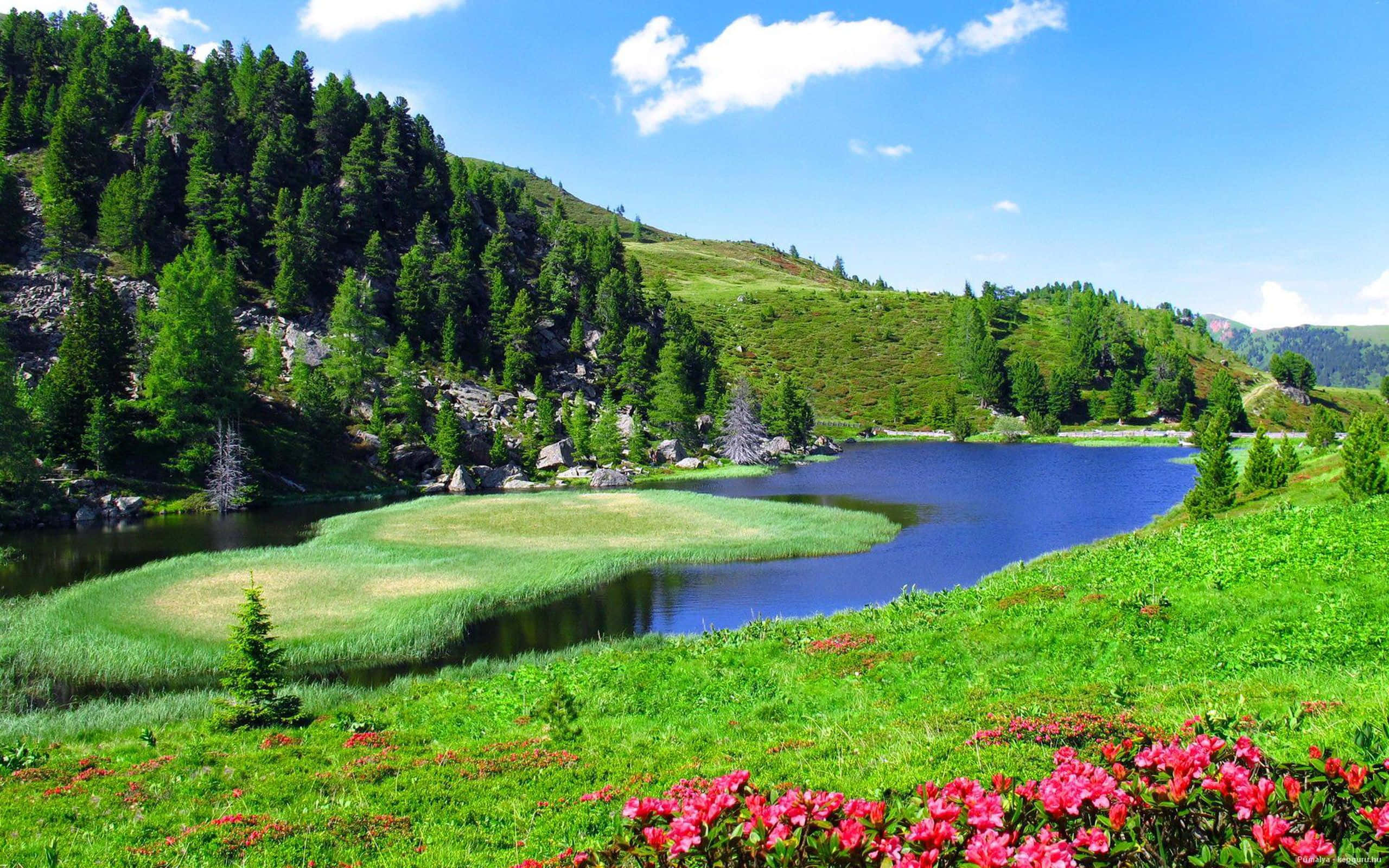 風景 桌布 壁紙 — 一個充滿活力的高山湖泊，坐落在鬱鬱蔥蔥的綠色山丘中，上方是明亮的藍天，點綴著蓬鬆的白雲。