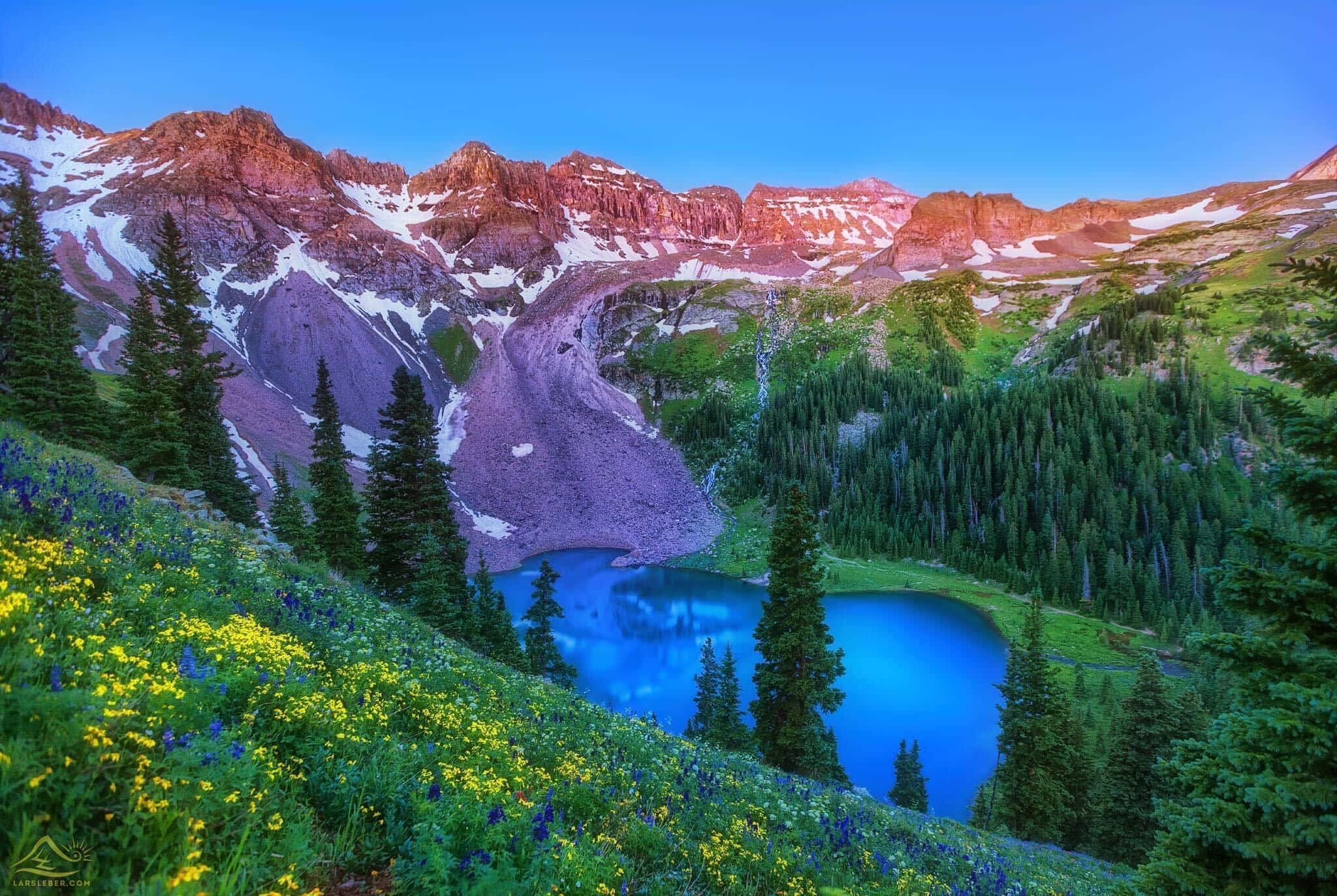 Colorado 桌布 壁紙 — 一個充滿活力的高山湖泊映照著粉紅色的山脈，在晴朗的藍天下，周圍環繞著野花和常青樹。