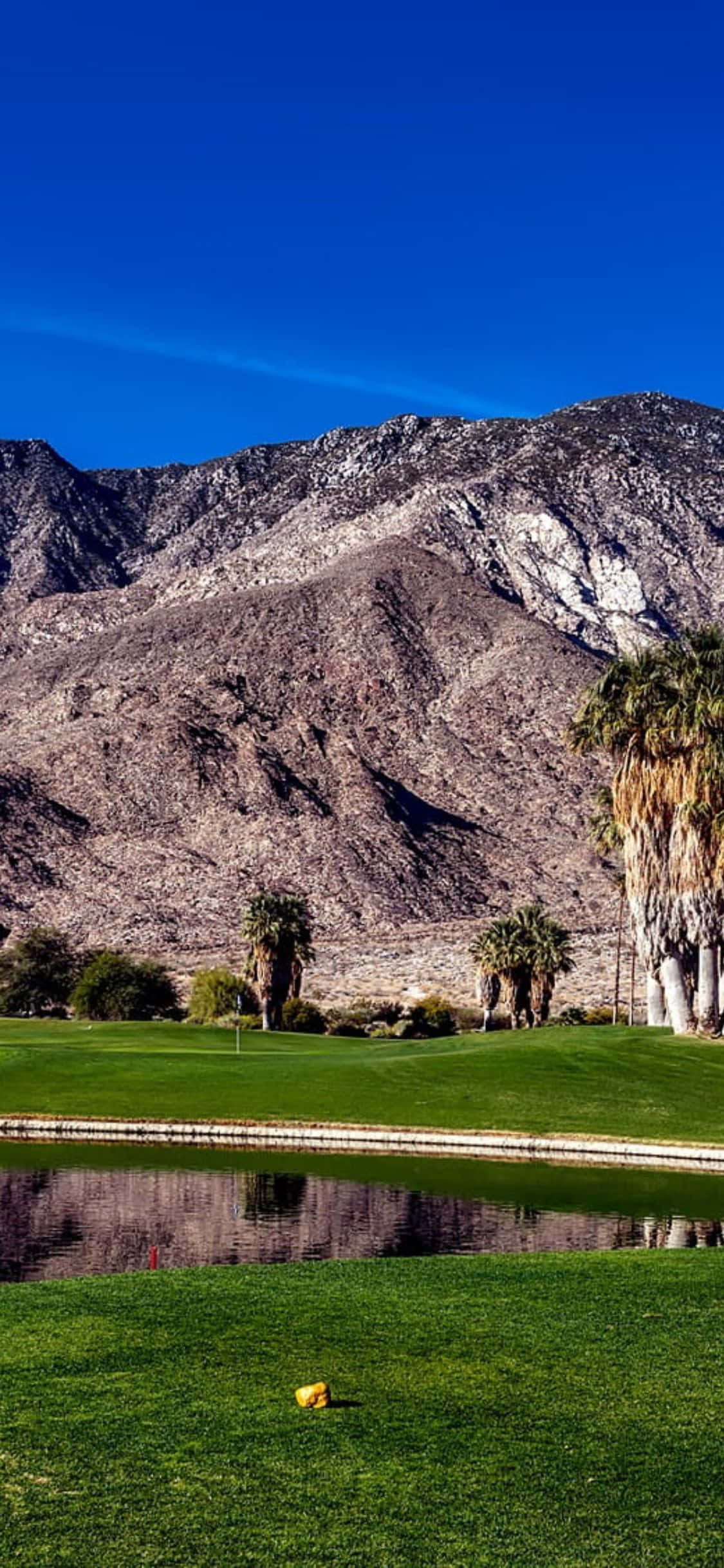 iPhone X Golf Course 桌布 壁紙 — 一個充滿活力的高爾夫球場，擁有翠綠的球道和棕櫚樹，背景是崎嶇的棕色山脈，在清澈的藍天下。