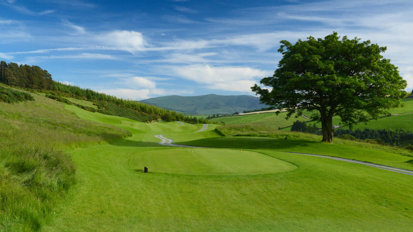 1366x768 Golf Course 桌布 壁紙 — 一個充滿活力的高爾夫球場，擁有茂密的綠色球道和一棵孤樹，在明亮的藍天和白雲下。