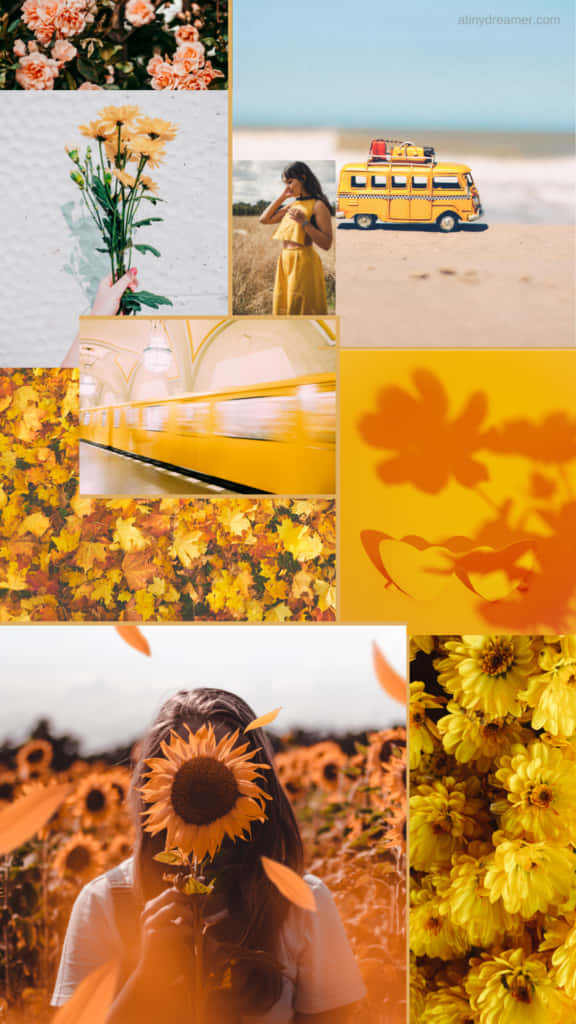 Yellow Sunflower Aesthetic 桌布 壁紙 — 一個充滿活力的黃色主題拼貼畫， featuring 向日葵、田野中的女人、復古貨車和秋葉。