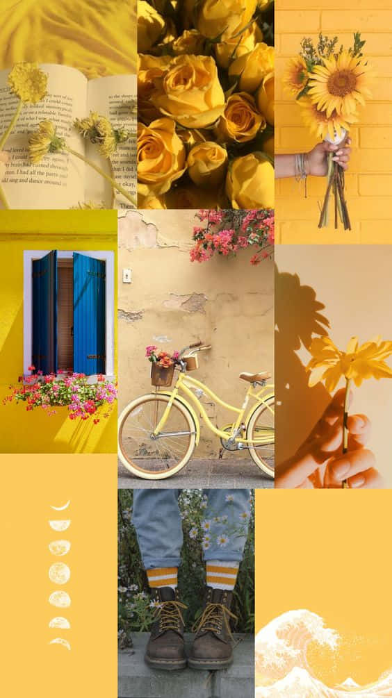 Yellow Aesthetic Collage 桌布 壁紙 — 一個充滿活力的黃色主題拼貼畫，包含向日葵、玫瑰、腳踏車、花朵和月相，背景溫暖且有紋理。