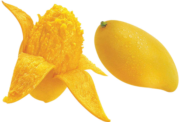 Mangoes 桌布 壁紙 — 一個充滿活力的黃色芒果切開，露出多汁的纖維果肉，旁邊是一個沾滿露水的完整水果，背景為黑色。