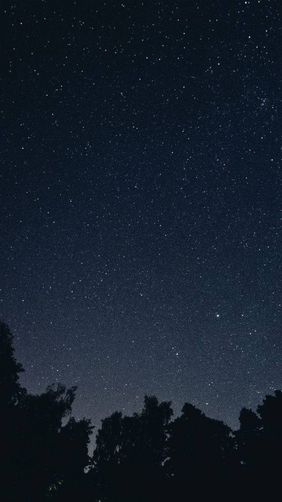 深色 iPhone 桌布 壁紙 — 一個充滿無數閃爍星星的星空夜空，上方是樹梢的黑暗剪影。