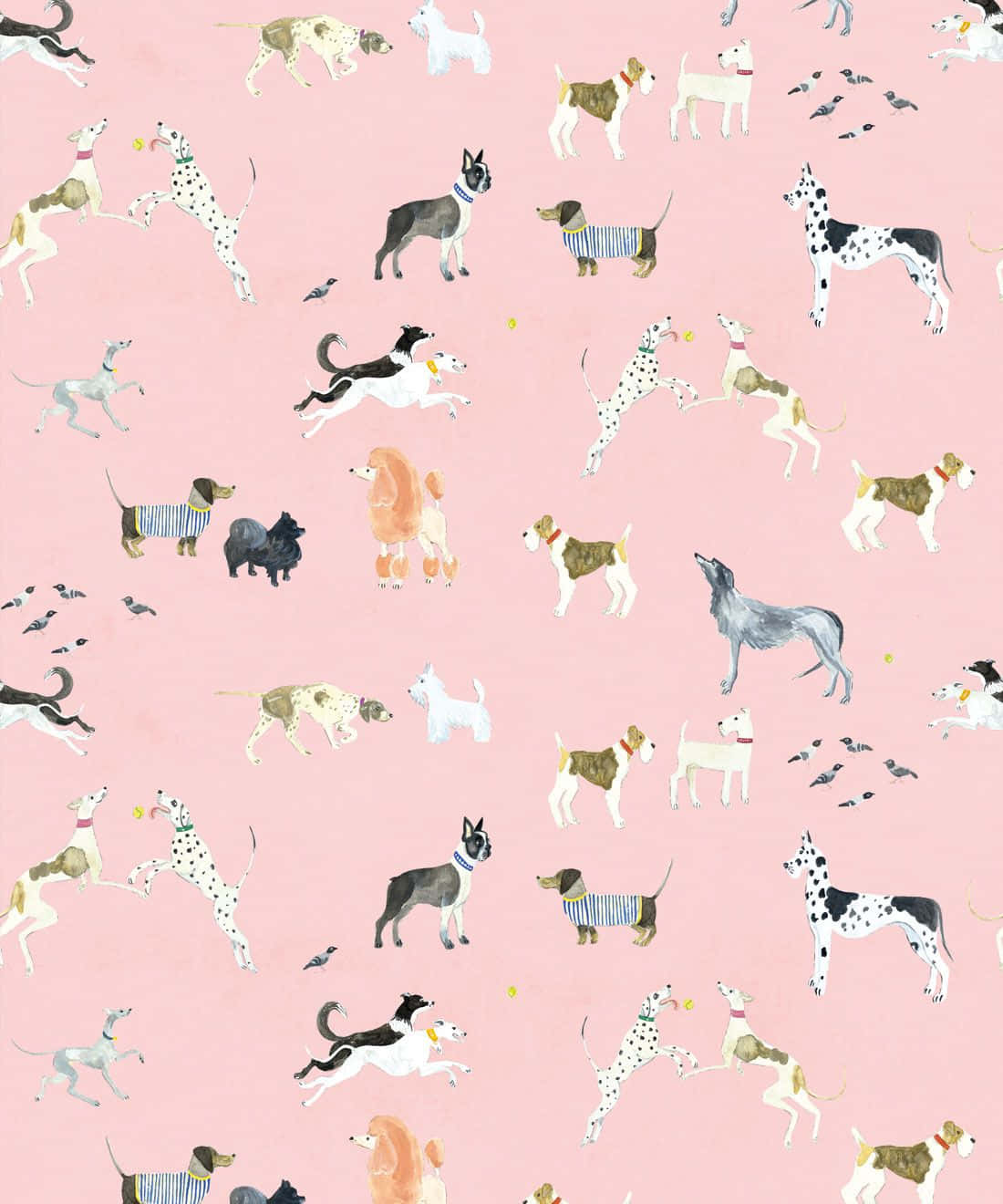 Pink Puppies 桌布 壁紙 — 一個充滿玩味的水彩圖案，描繪不同犬種在柔和的粉紅色背景上活動，並伴有小鳥。