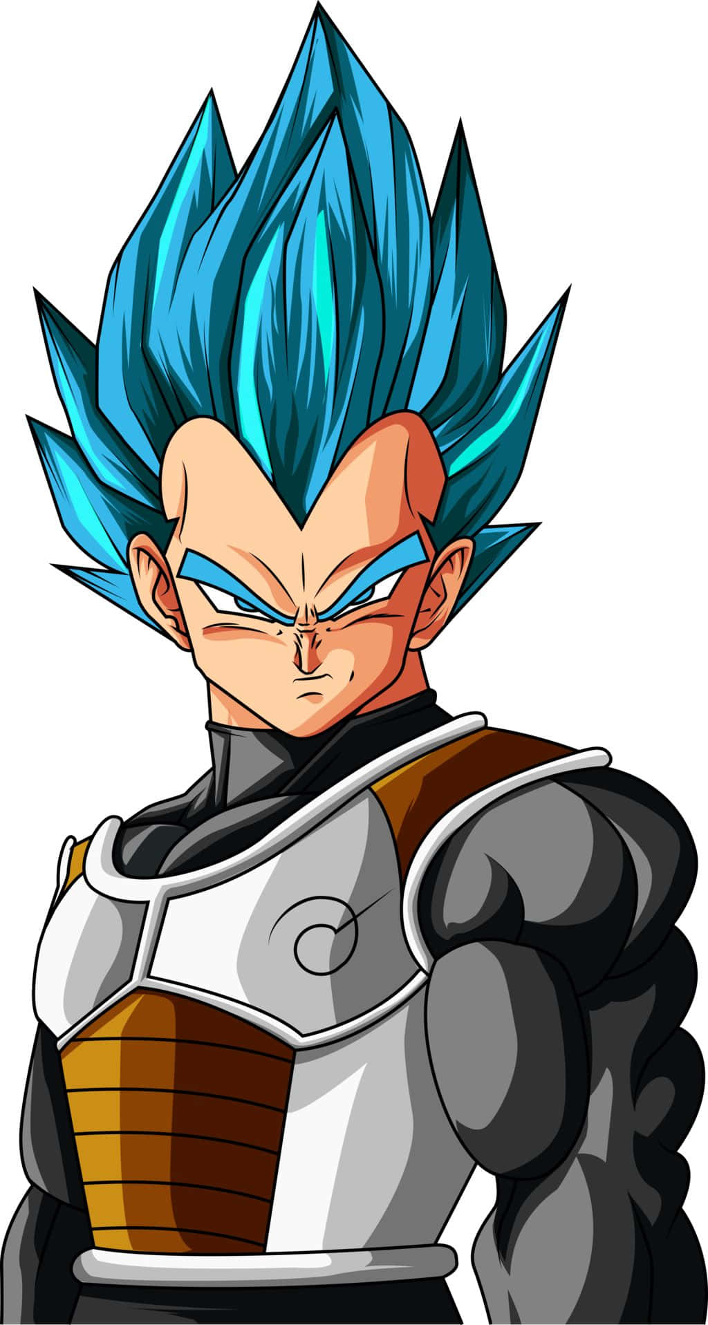 Vegeta Super Saiyan Blue 桌布 壁紙 — 一個兇猛的動漫戰士，擁有尖刺的藍色頭髮和裝甲軀幹，以強有力的姿勢站立。