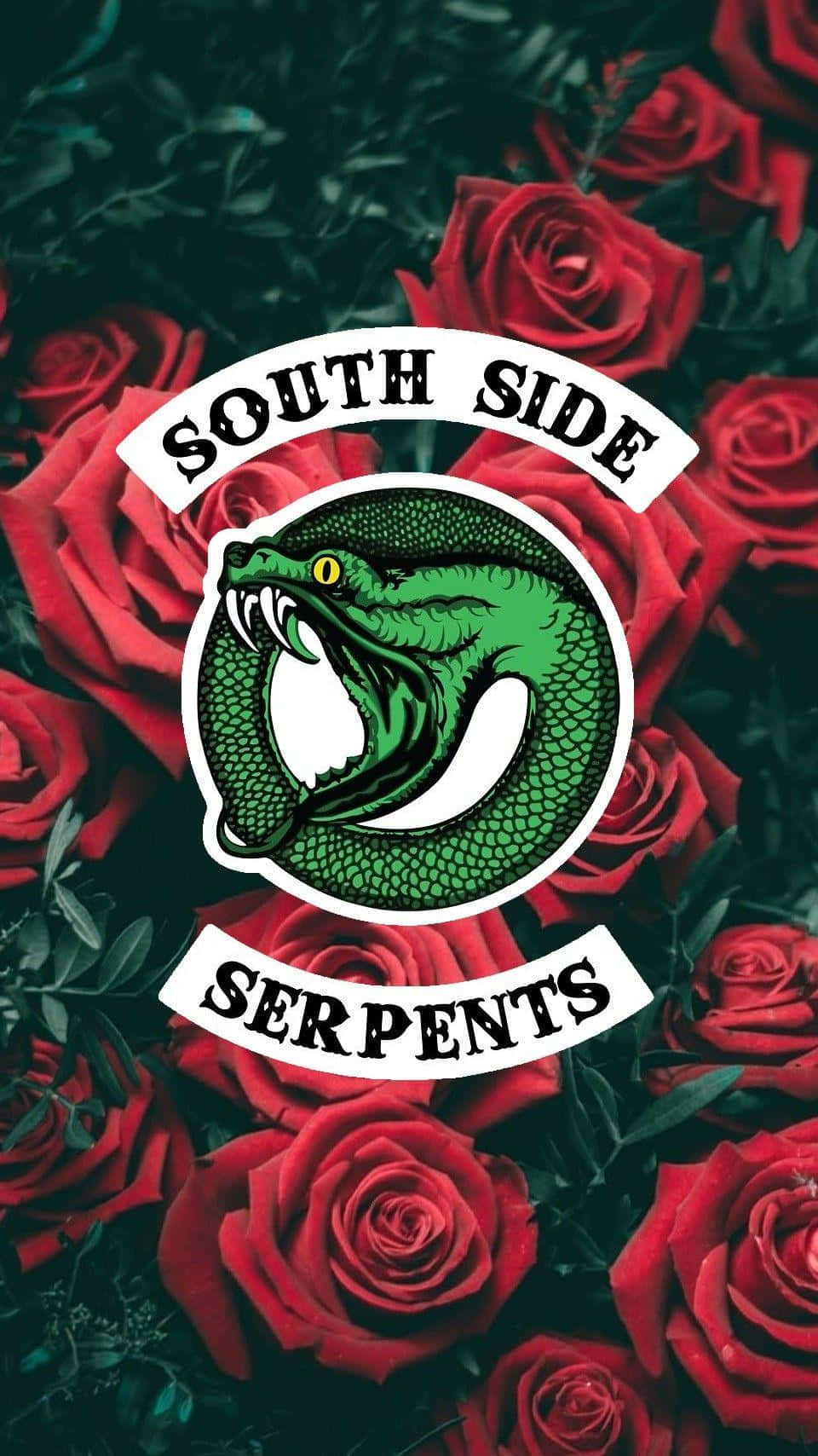 Southside Serpents 桌布 壁紙 — 一個兇猛的綠色蛇標誌，帶有'South Side Serpents'文字，背景是鮮豔的紅玫瑰和深色樹葉。