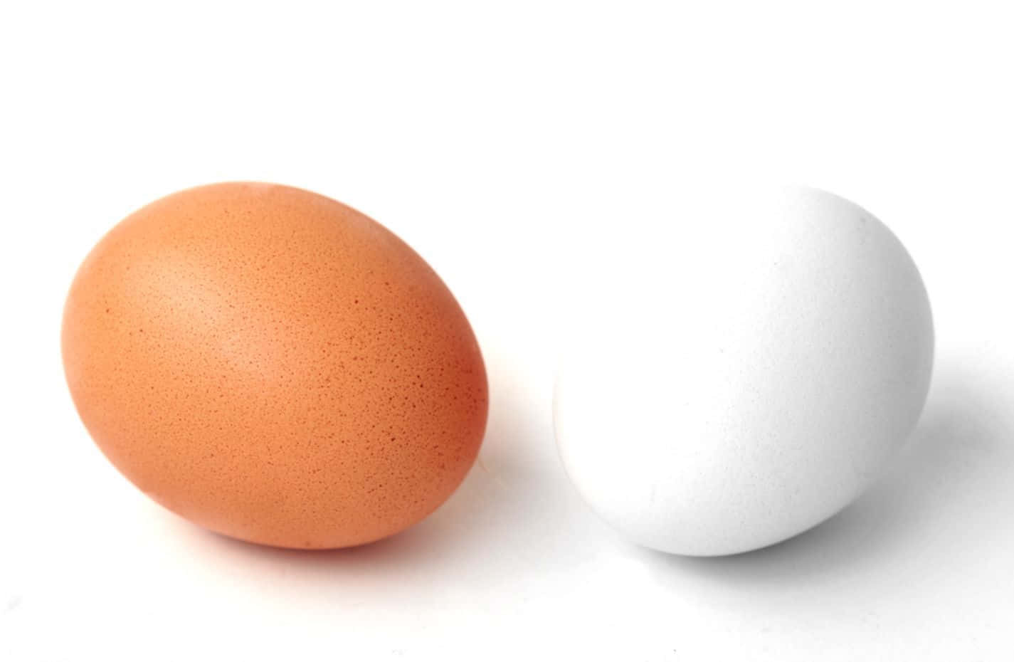 Eggs 桌布 壁紙 — 一個光滑的棕色雞蛋和一個普通的白色雞蛋並排放在明亮的白色表面上。