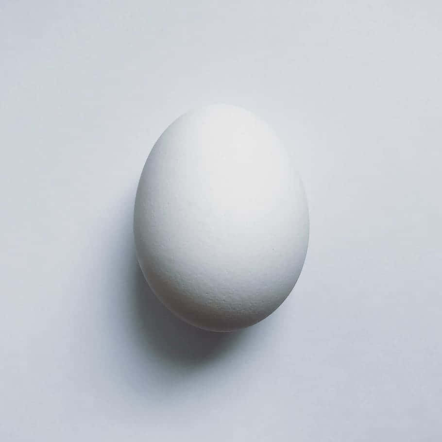 Egg White 桌布 壁紙 — 一個光滑的白蛋在柔和均勻的光線下，居中放置在純淺灰色表面上。