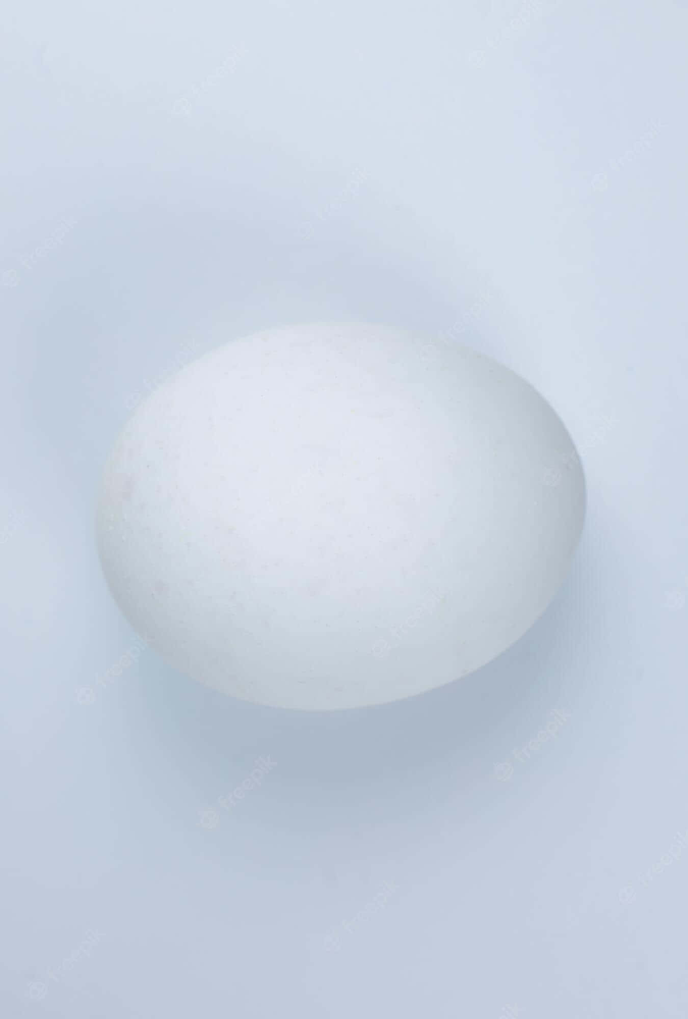 Egg White 桌布 壁紙 — 一個光滑的白蛋居中放置在柔和的淺藍色漸變背景上，帶有輕柔的陰影。