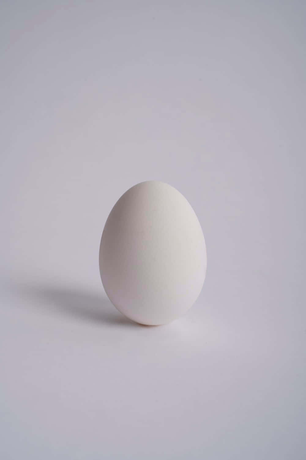 Egg 桌布 壁紙 — 一個光滑的白雞蛋在均勻的攝影棚燈光下，居中放置在柔軟的灰色表面上。