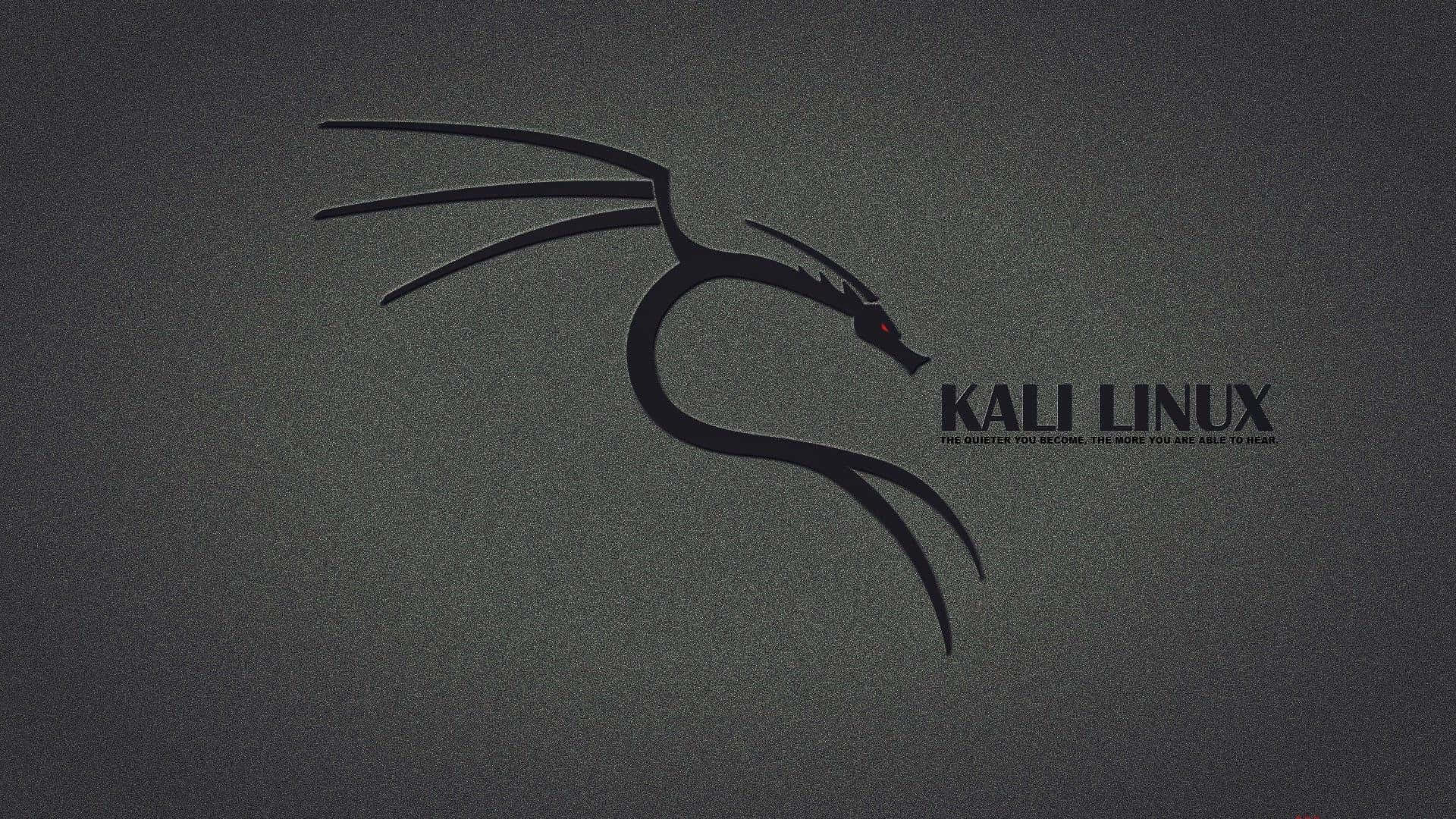 Kali Linux 桌布 壁紙 — 一個光滑的黑色 Kali Linux 龍標誌，帶有發光的紅色眼睛，位於紋理深灰色背景上。