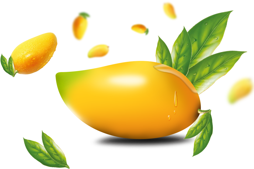 Mangoes 桌布 壁紙 — 一個光澤成熟的芒果，帶有綠葉和水滴，被漂浮的芒果片環繞，背景為黑色。