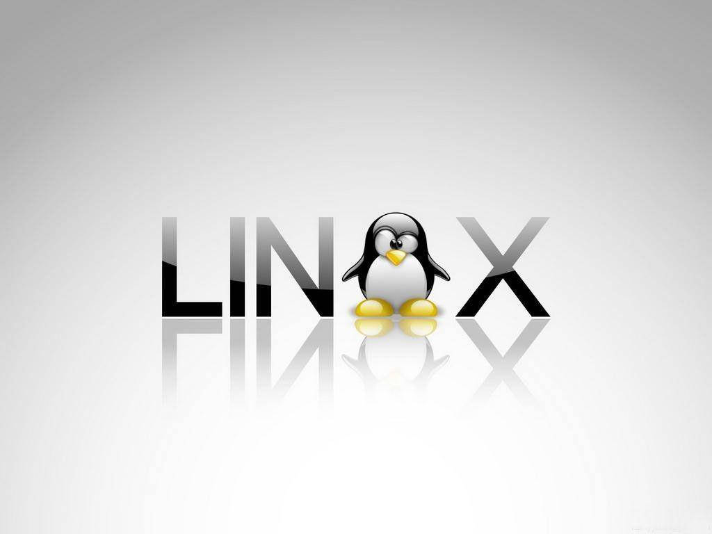 桌面 桌布 壁紙 — 一個光澤的Linux企鵝吉祥物站在反射白色表面上，居中於Linux這個詞的粗體字母之間。