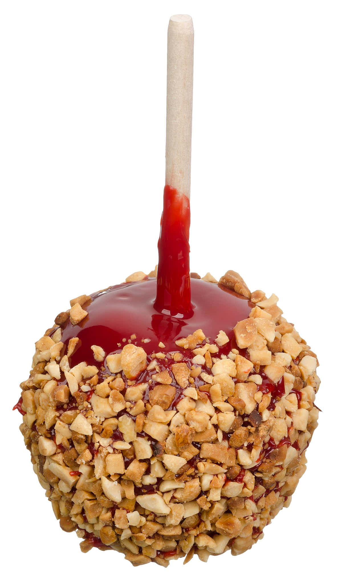 Candy Apples 桌布 壁紙 — 一個光澤的紅色焦糖蘋果，慷慨地覆蓋著切碎的堅果，插在木棍上，背景為白色。