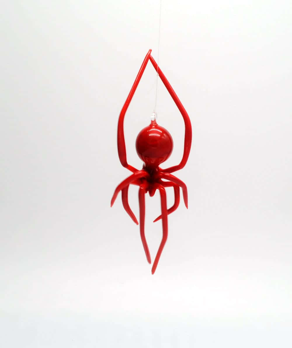 Red Spider 桌布 壁紙 — 一個光澤的紅色玻璃蜘蛛裝飾品懸掛在純白色背景上。
