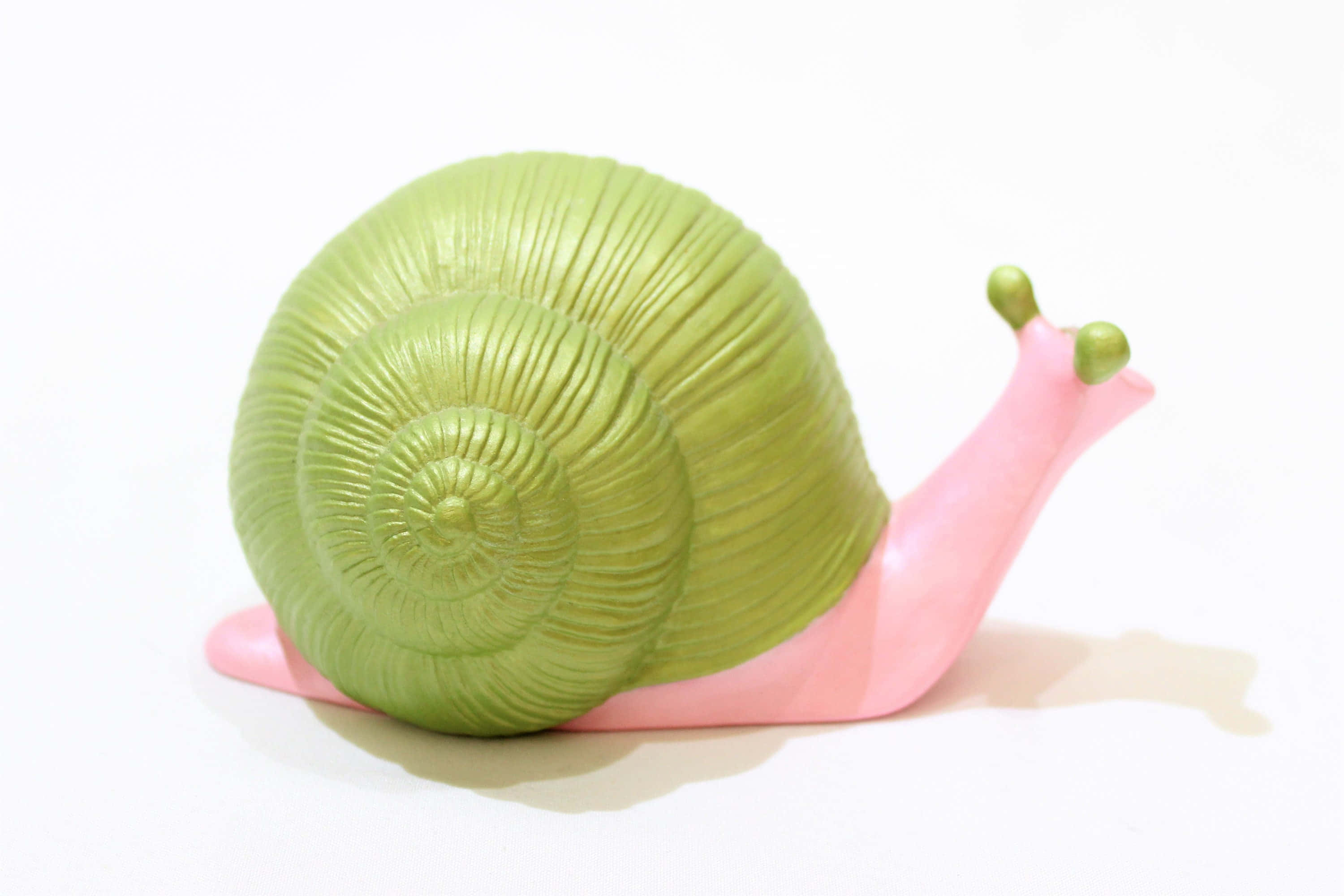 Pink Snail 桌布 壁紙 — 一個光澤的綠色和粉紅色塑料蝸牛玩具，帶有詳細的殼脊，放在純白色表面上。