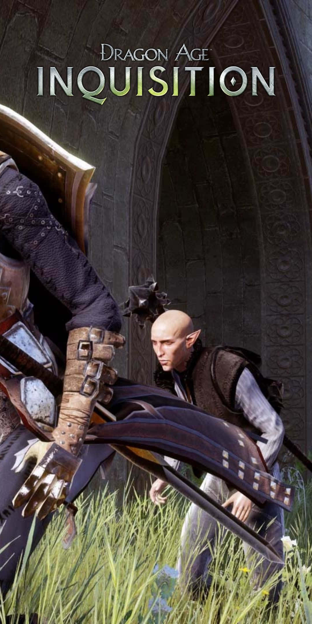 Pixel 3 Dragon Age Inquisition 桌布 壁紙 — 一個光頭尖耳的精靈蹲在一個身穿重甲的戰士旁邊，身處石拱門附近的草地上。