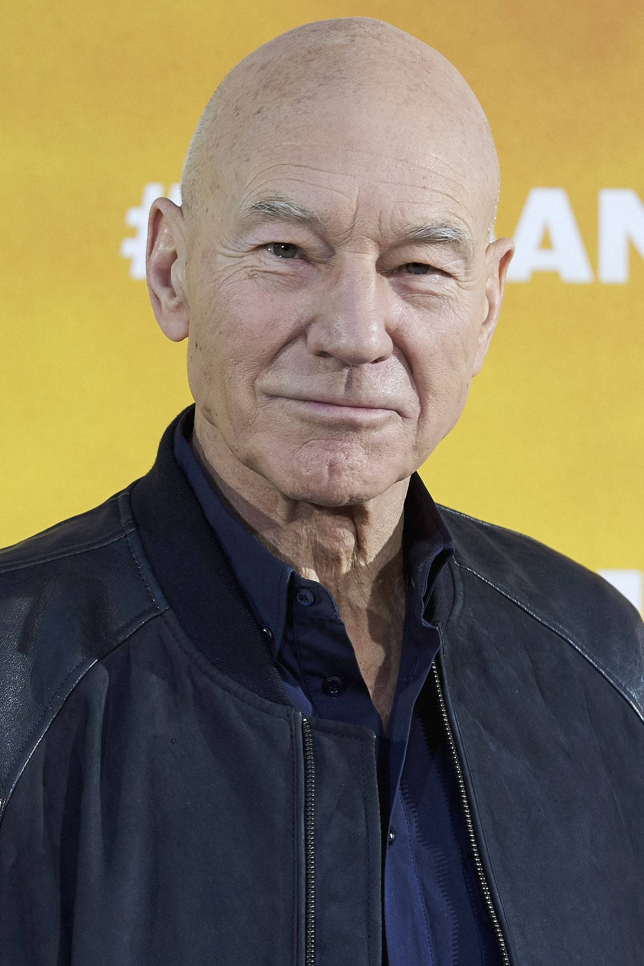 Celebrity 桌布 壁紙 — 一個光頭男人的特寫肖像，他有深深的皺紋，穿著深色皮夾克，背景是鮮黃色。