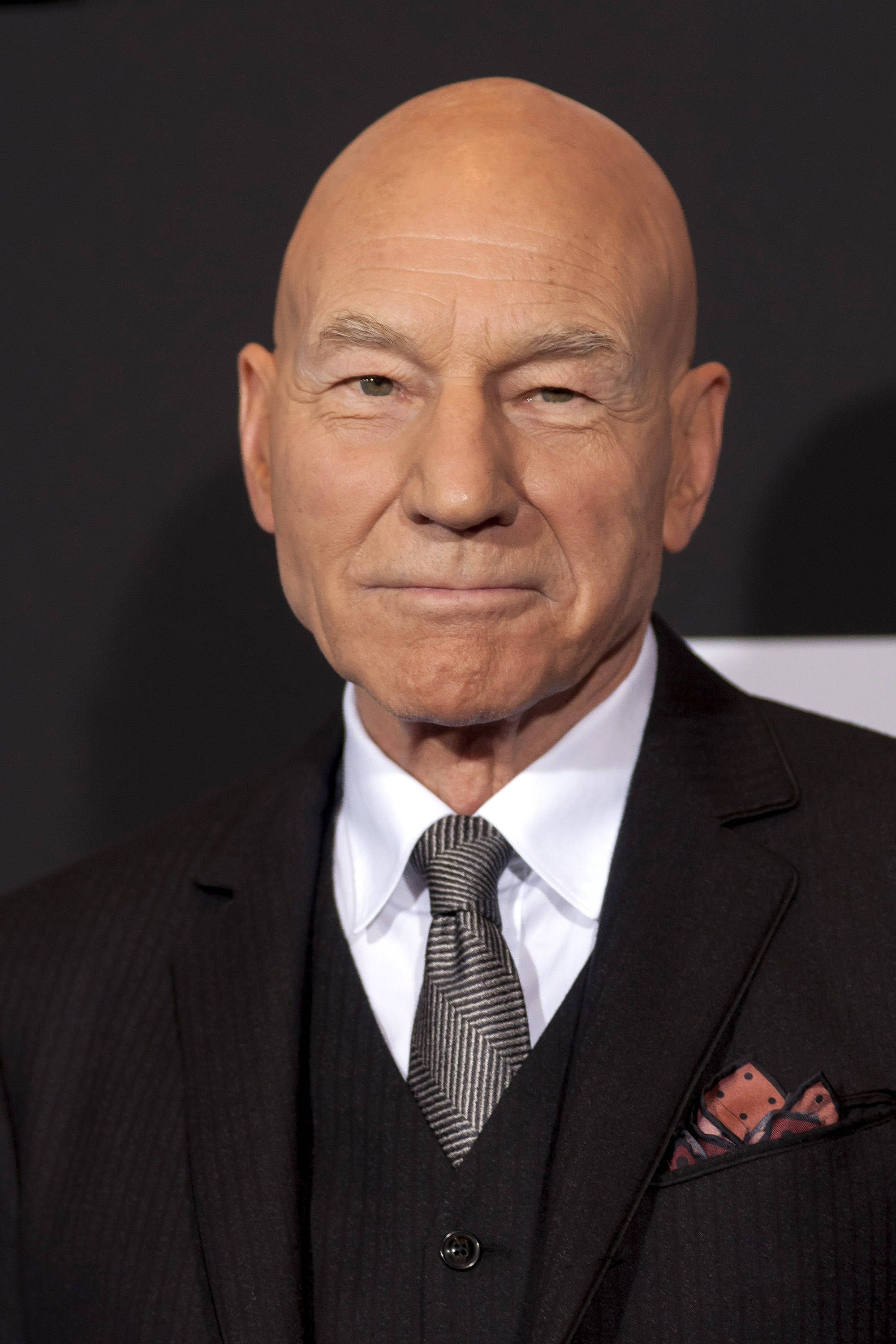 Celebrity 桌布 壁紙 — 一個光頭男士身穿深色細條紋西裝，搭配圖案領帶和袋巾，在黑色背景前的特寫肖像。