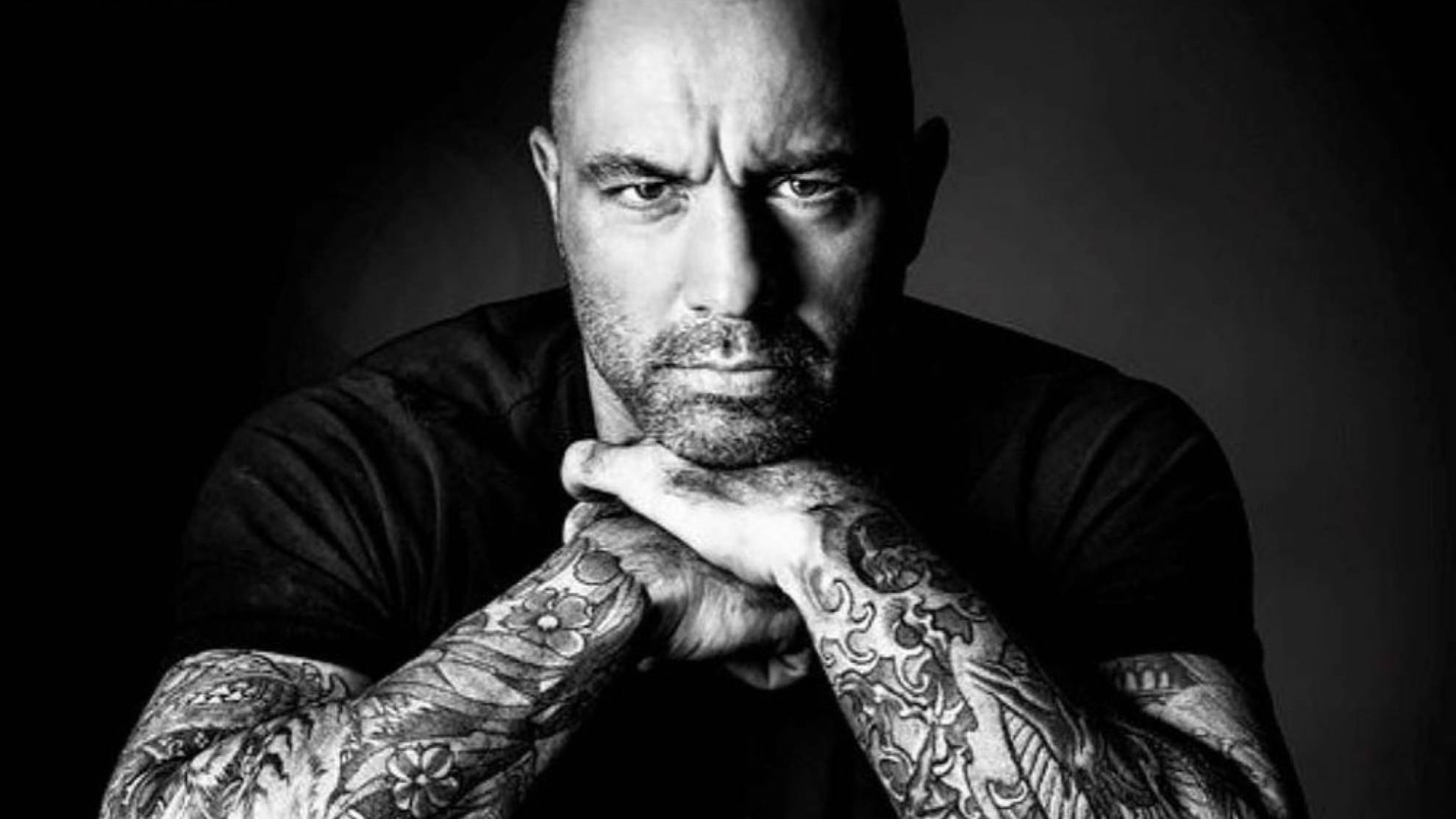 UFC 桌布 壁紙 — 一個光頭男子，眼神銳利，雙臂佈滿紋身，在深色背景下托腮沉思。