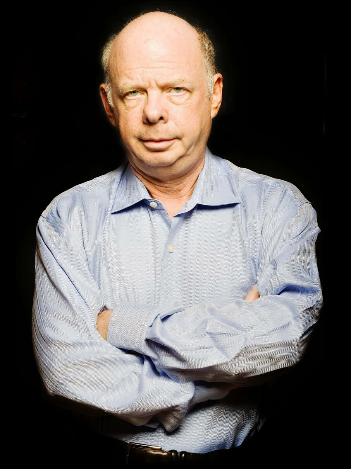 Wallace Shawn 桌布 壁紙 — 一個光頭男子穿著淺藍色襯衫，雙臂交叉，站在純黑色背景前，目光專注地直視前方。
