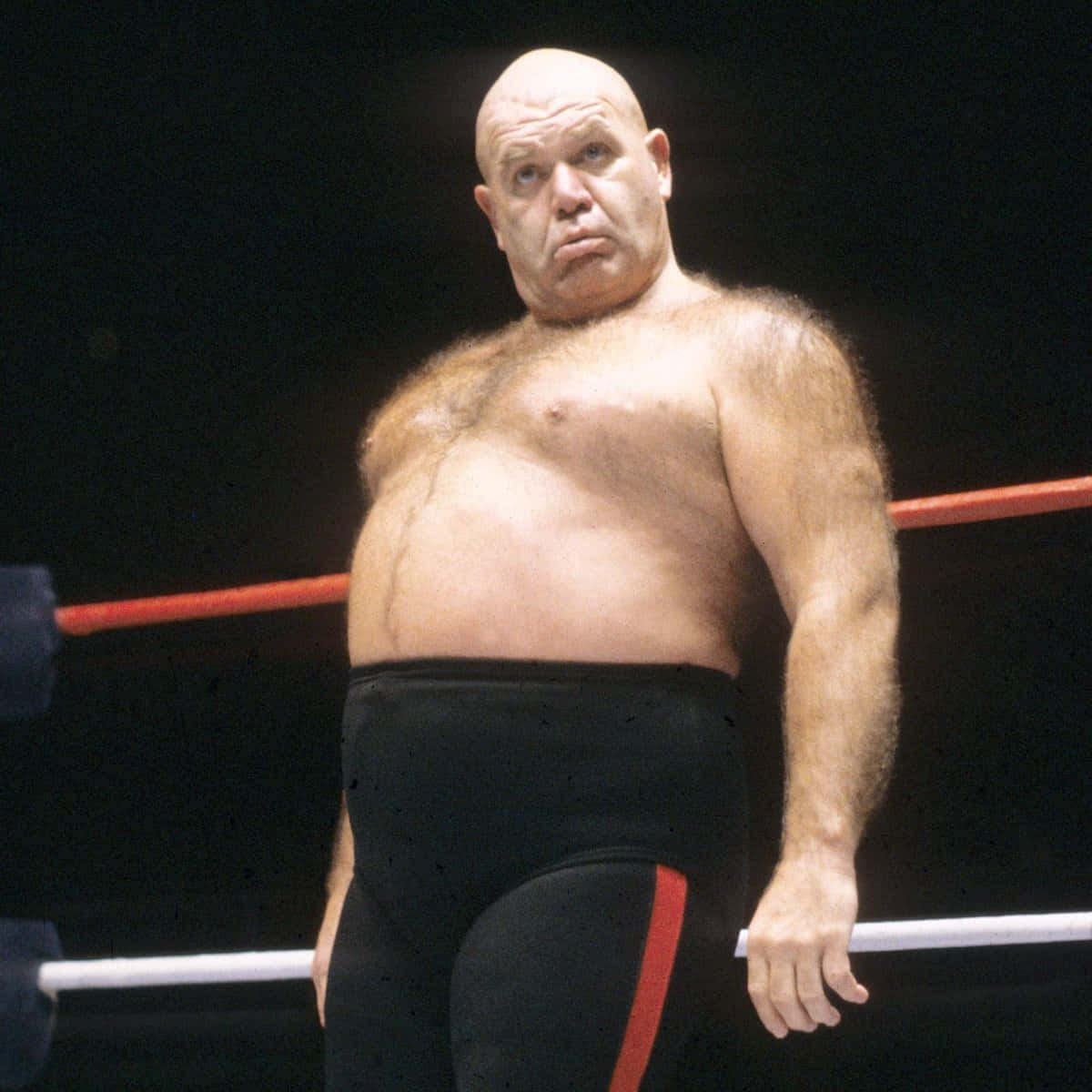 WWE 桌布 壁紙 — 一個光頭肌肉發達的摔角手穿著黑色帶紅色條紋的短褲，站在摔角場內，表情嚴肅。
