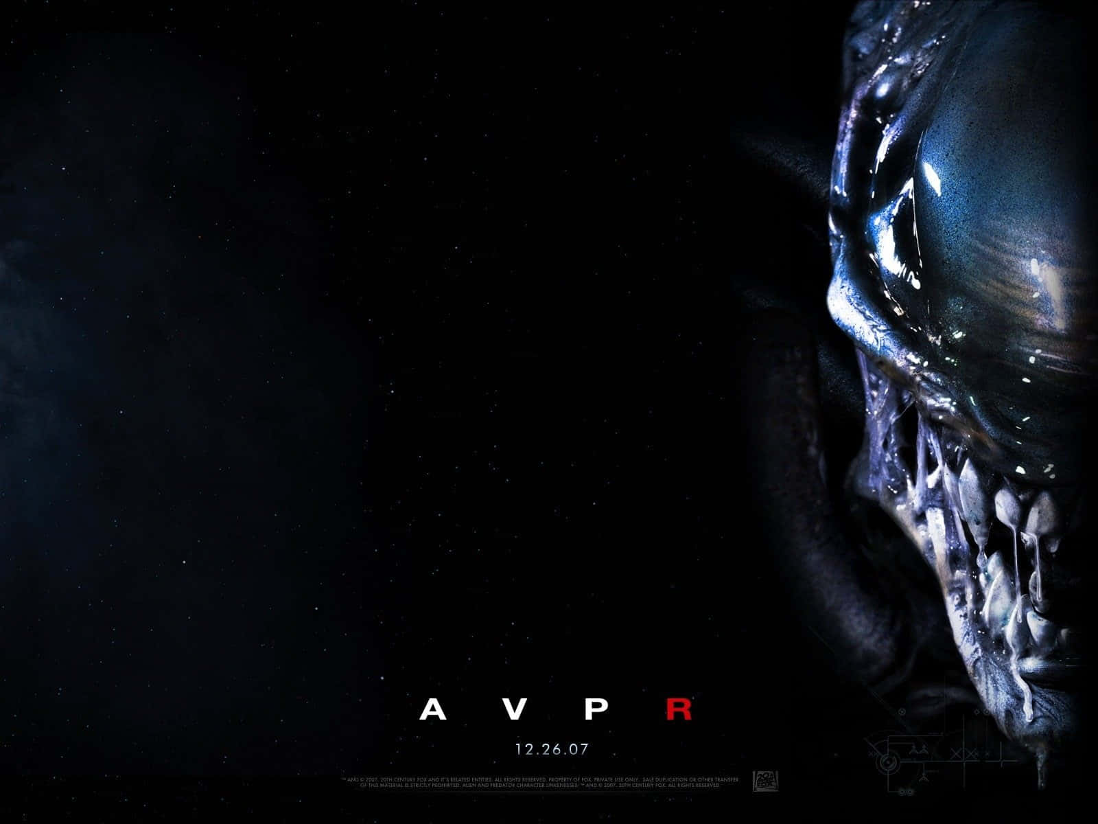 Wolf Predator 桌布 壁紙 — 一個具有鋒利牙齒和發光眼睛的威脅性外星生物，在佈滿星空的黑色虛空中若隱若現，下方有「AVPR」文字。