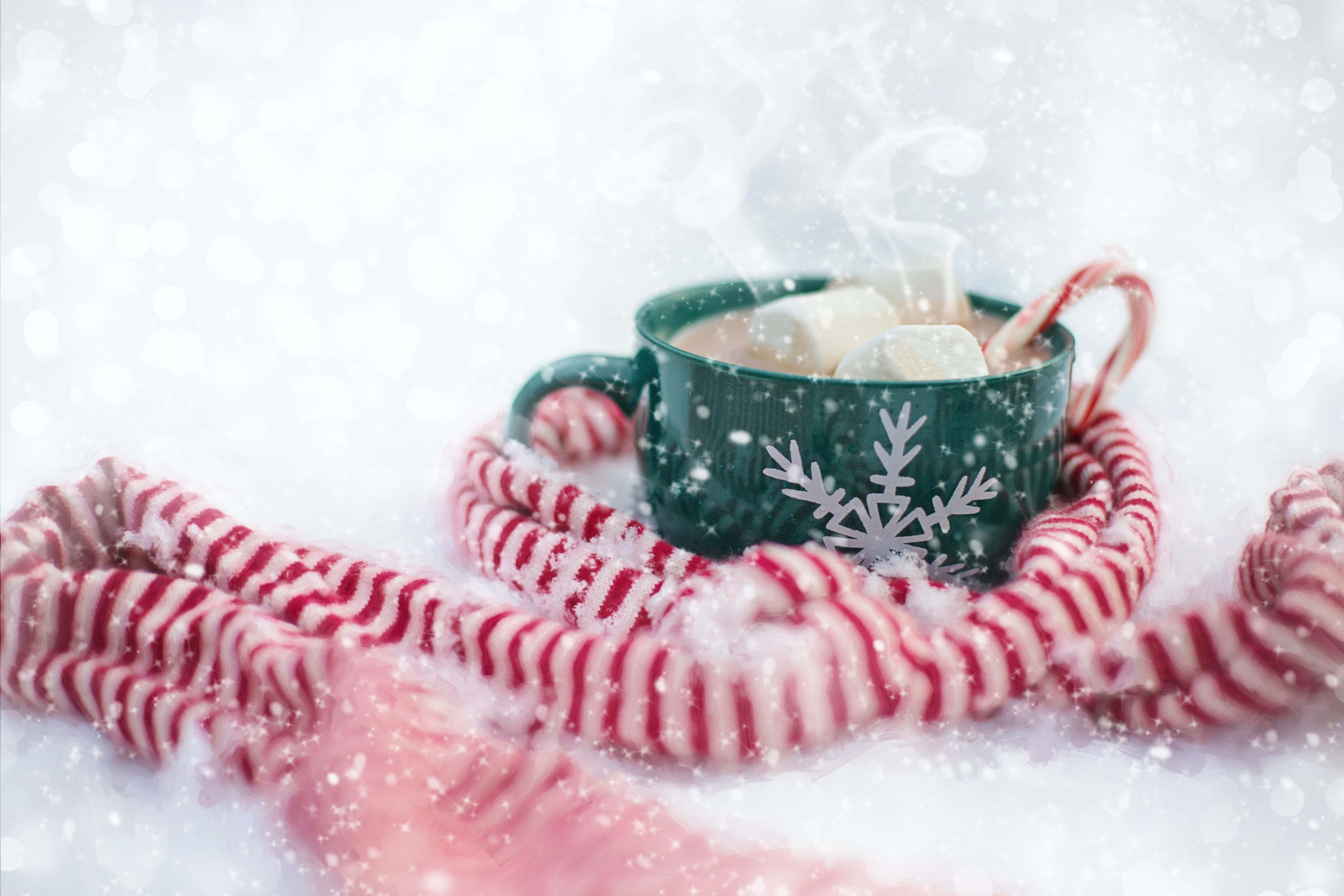 節日 桌布 壁紙 — 一個冒著熱氣的綠色杯子，上面有棉花糖和雪花圖案，放在一條紅白條紋的圍巾裡，周圍雪花飄落。