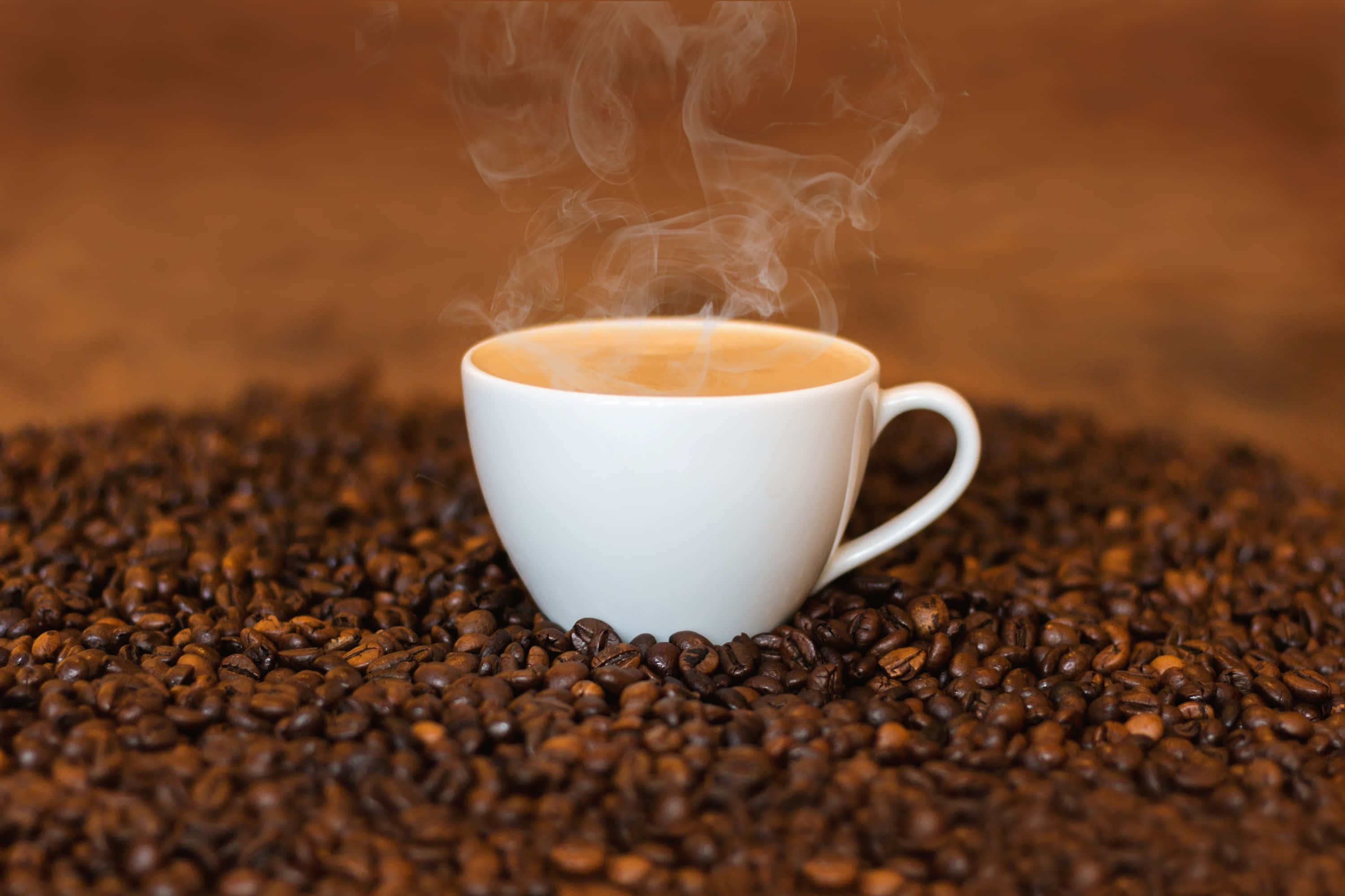 Coffee Cup 桌布 壁紙 — 一個冒著蒸氣的白色咖啡杯，安放在深焙咖啡豆的床鋪上，背景是溫暖的棕色。