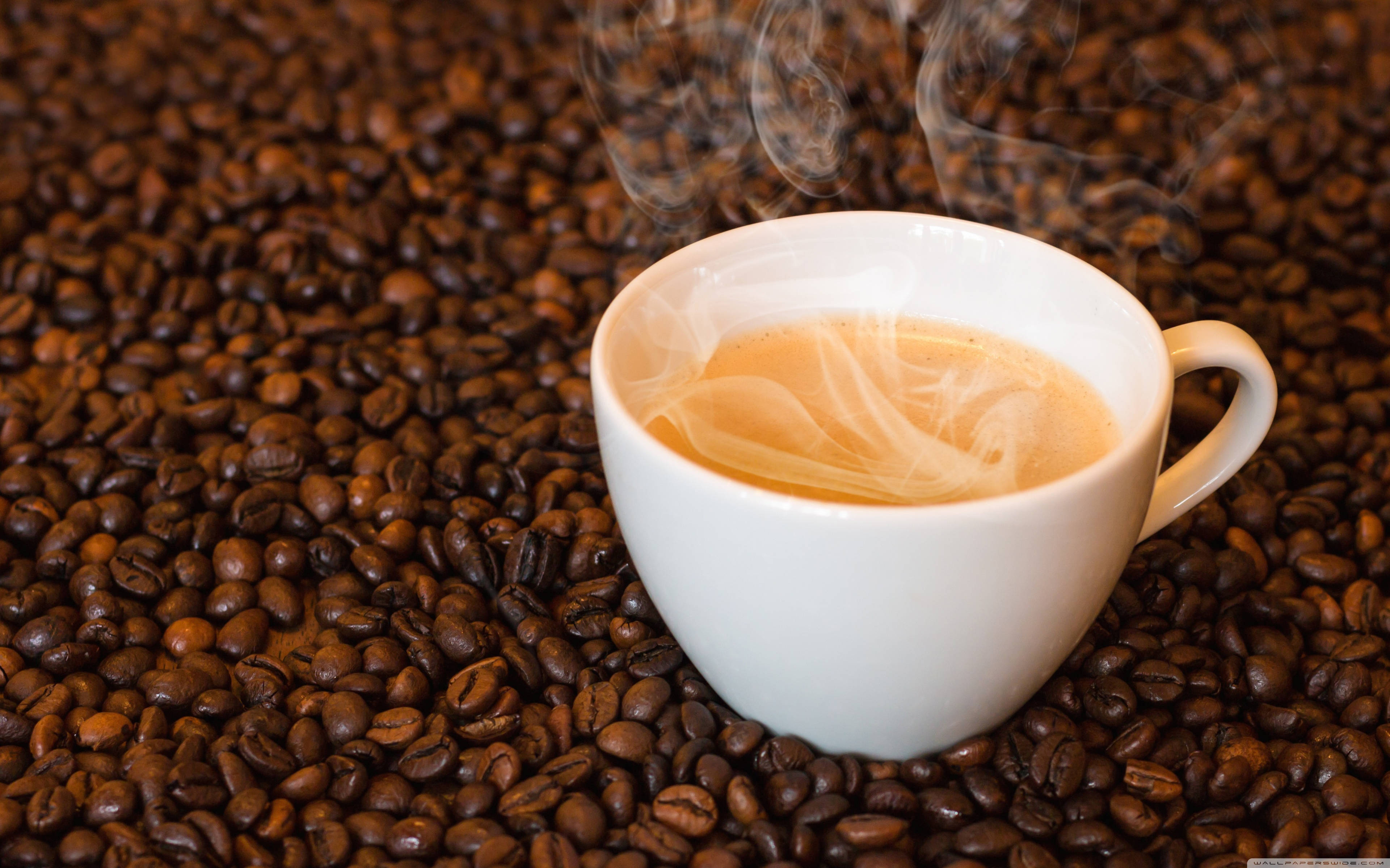 咖啡動圖 桌布 壁紙 — 一個冒著蒸氣的白色咖啡杯，放在深烘焙咖啡豆中間，縷縷芳香蒸氣升起。
