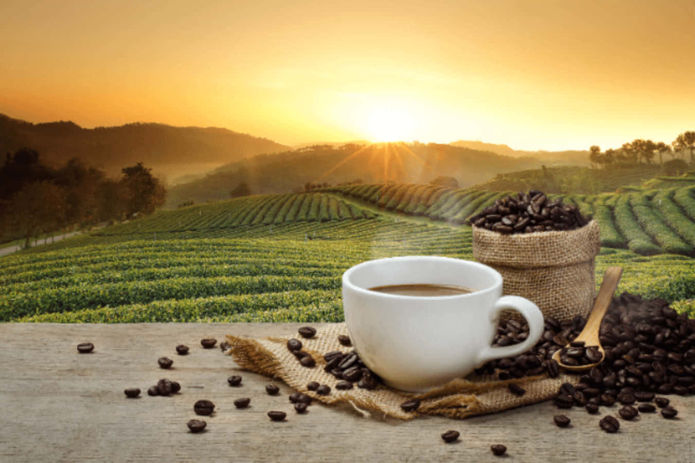 Morning Coffee 桌布 壁紙 — 一個冒著蒸氣的白色咖啡杯放在木桌上，旁邊是一個裝有咖啡豆的黃麻袋，豆子散落一地，俯瞰著日出時陽光普照的咖啡種植園。
