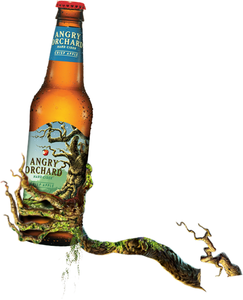 飲料 桌布 壁紙 — 一個冰涼的Angry Orchard烈性蘋果酒瓶，瓶身纏繞著一條彎曲的蘋果樹枝，背景為白色。