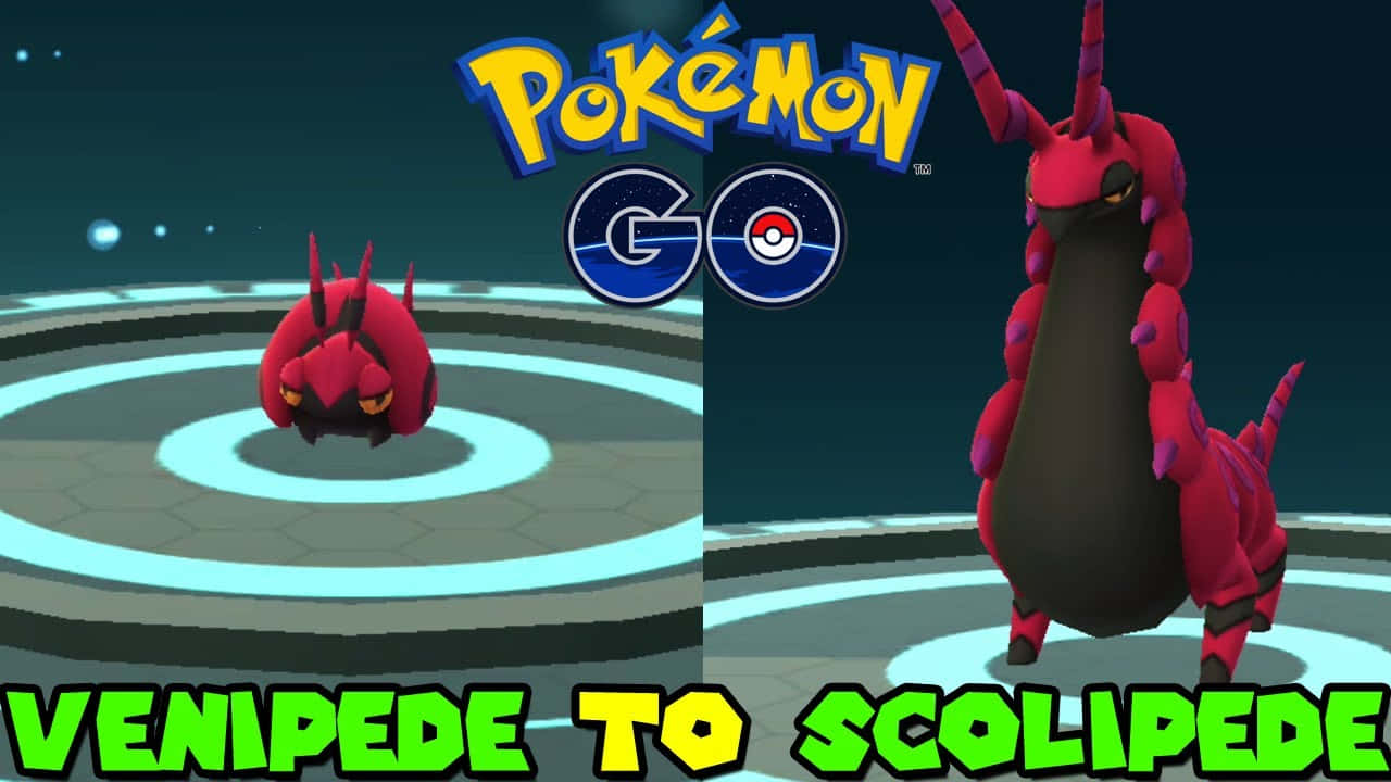 Venipede 桌布 壁紙 — 一個分割畫面 Pokémon GO 戰鬥場景，顯示 Venipede 在發光的圓形競技場上進化成 Scolipede。