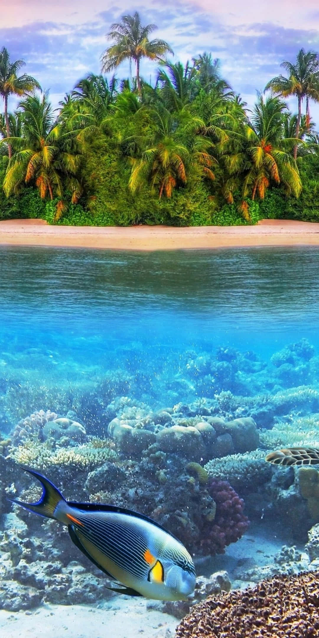 Pixel 3 Fish 桌布 壁紙 — 一個分割視圖，上方是熱帶島嶼和棕櫚樹，下方是色彩繽紛的珊瑚礁和一條藍色魚。