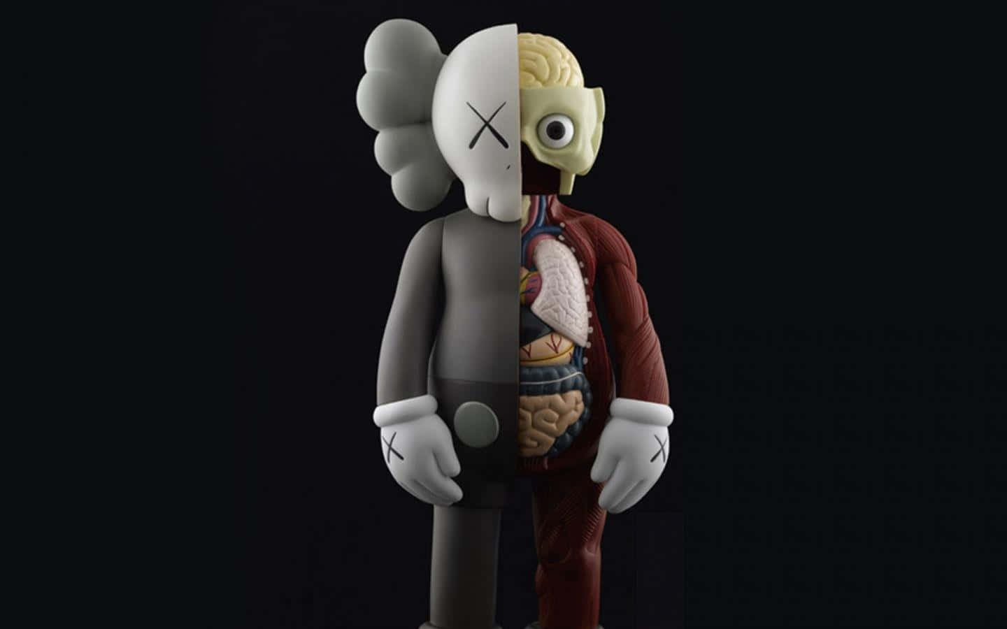 kaws pc 桌布 壁紙 — 一個分裂的KAWS人偶在黑色背景上顯露內臟，一側顯示頭骨，另一側顯示大腦。