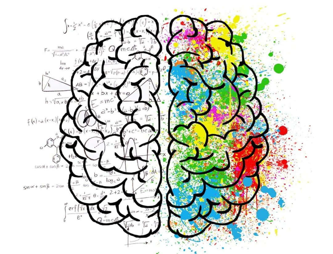 Brain 桌布 壁紙 — 一個分裂的大腦插圖，一側覆蓋著數學方程式，另一側是充滿活力的油漆飛濺，象徵邏輯與創造力。