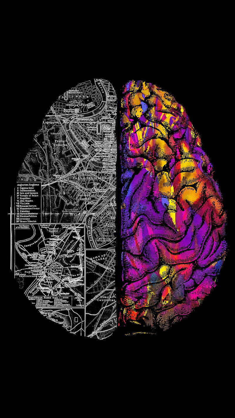 Brain 桌布 壁紙 — 一個分裂的大腦插圖，一半顯示詳細的城市地圖，另一半顯示在黑色背景上充滿活力的彩色腦部掃描。