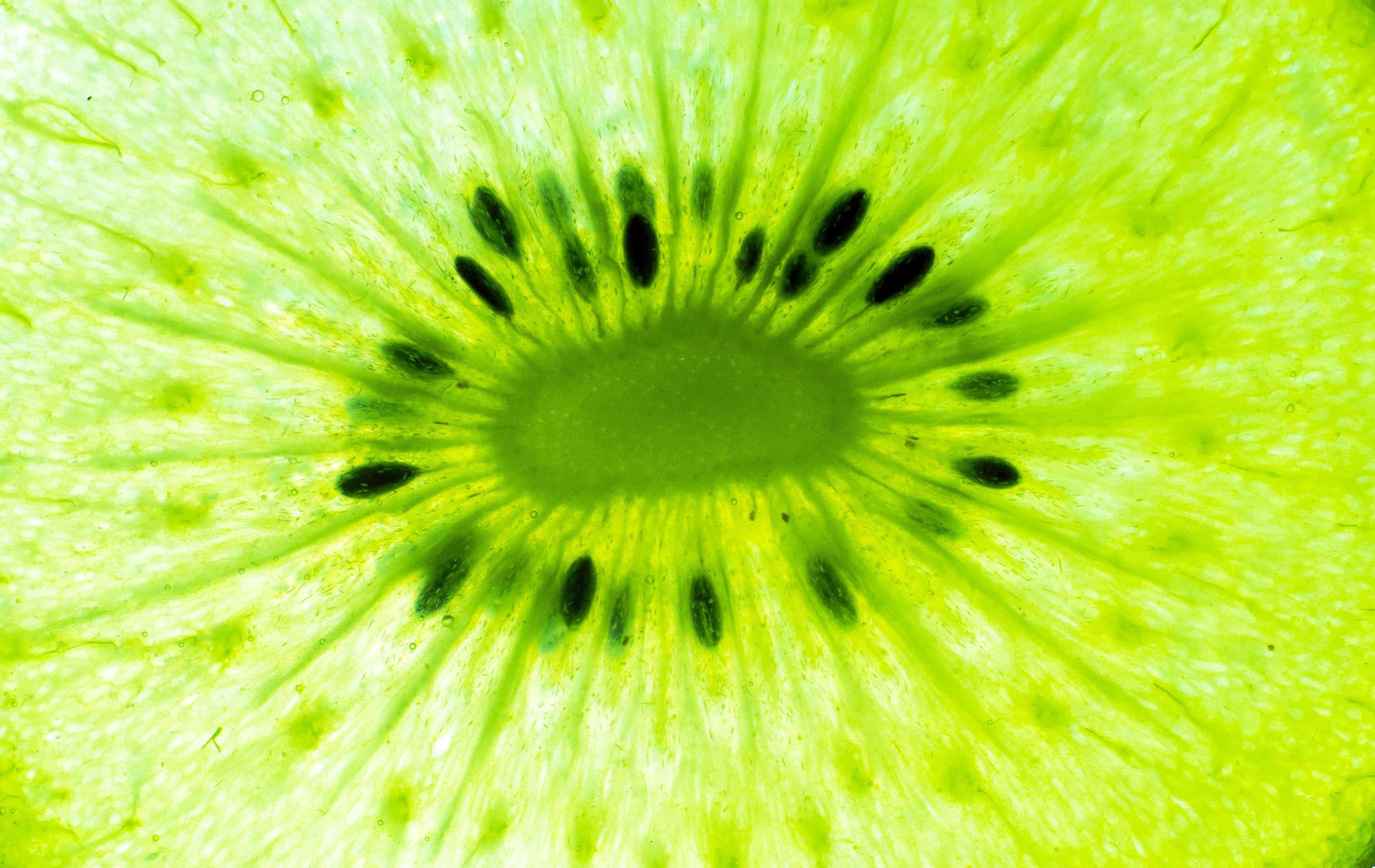 Kiwi 桌布 壁紙 — 一個切開的奇異果的鮮豔特寫，展現出它鮮綠色的果肉和從中心放射出來的黑色種子。