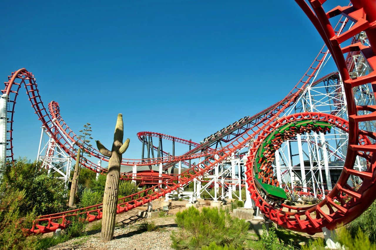 Six Flags 桌布 壁紙 — 一個刺激的紅色雲霄飛車在晴朗的藍天下扭轉和迴圈，前景是沙漠仙人掌。