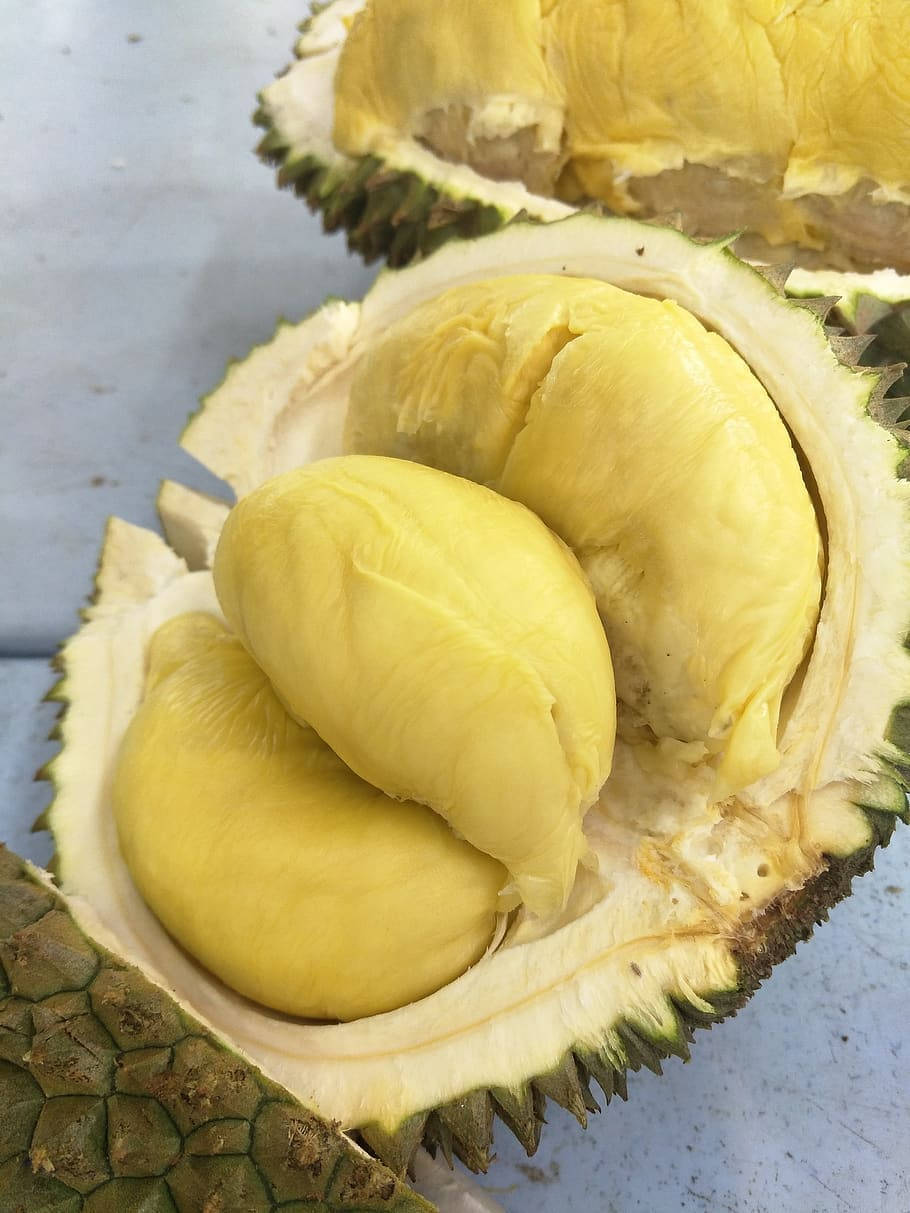 Fruits 桌布 壁紙 — 一個剛打開的榴槤特寫，露出藏在帶刺綠色外殼中的奶油黃色果肉。