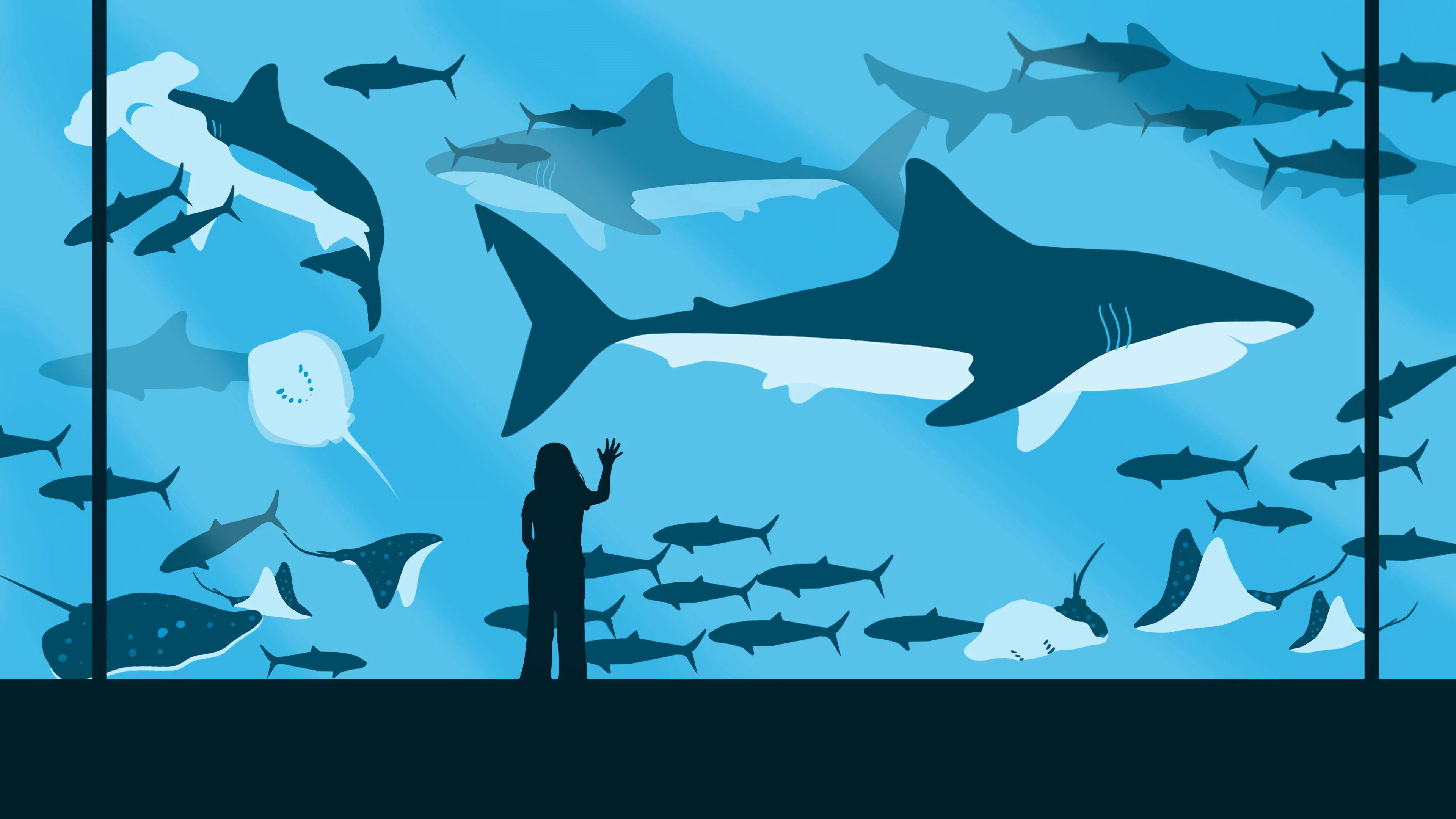 鯊魚 桌布 壁紙 — 一個剪影人物向一個充滿鯊魚、魟魚和魚類在藍色水中游泳的大型水族館揮手。