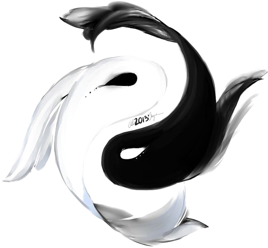 koi 桌布 壁紙 — 一個動態的黑白陰陽符號，以流暢的筆觸紋理呈現在清晰的透明背景上。