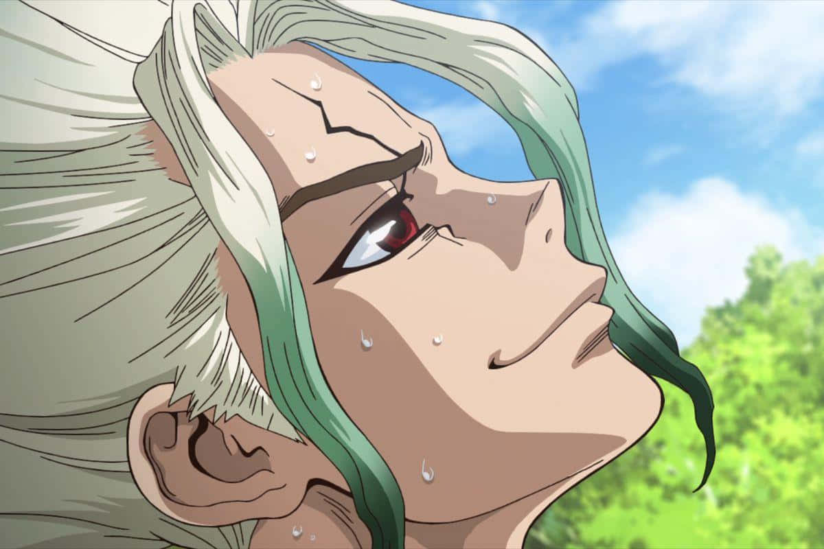 Dr.STONE 新石紀 桌布 壁紙 — 一個動漫角色的特寫，擁有白色和綠色的頭髮以及紅色的眼睛，向上看，淚水在明亮的藍天和綠樹的映襯下落下。