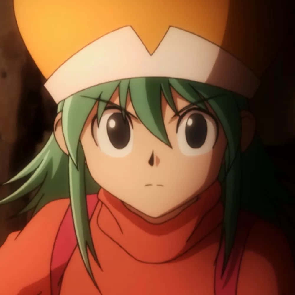 Hunter X Hunter Ponzu 桌布 壁紙 — 一個動漫角色的特寫，擁有綠色頭髮和黃色帽子，穿著橙色高領毛衣。