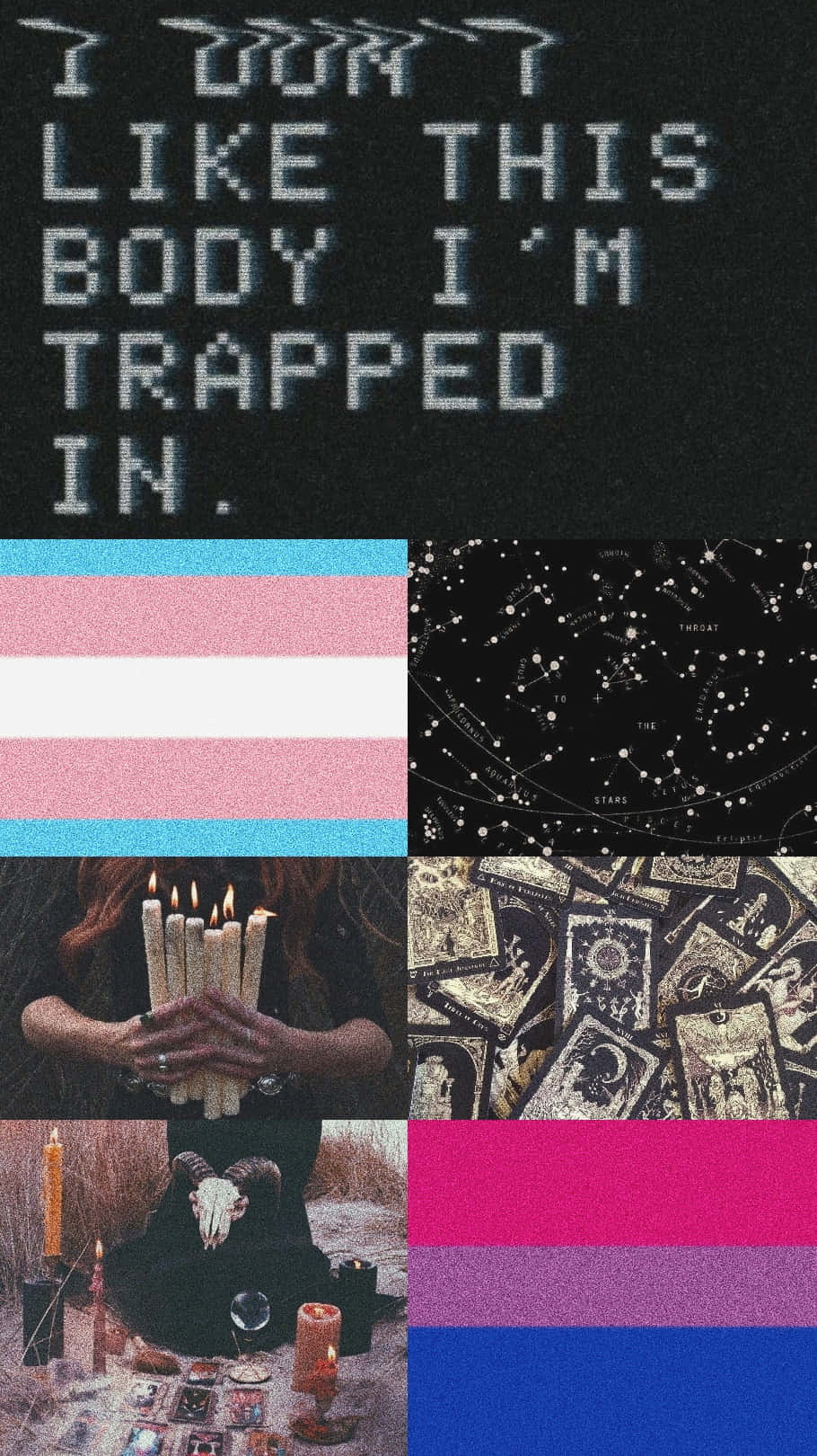 transgender 桌布 壁紙 — 一個包含蠟燭、塔羅牌、頭骨和跨性別驕傲旗幟的黑暗神秘圖像拼貼，帶有關於身體畸形恐懼症的像素化文字。
