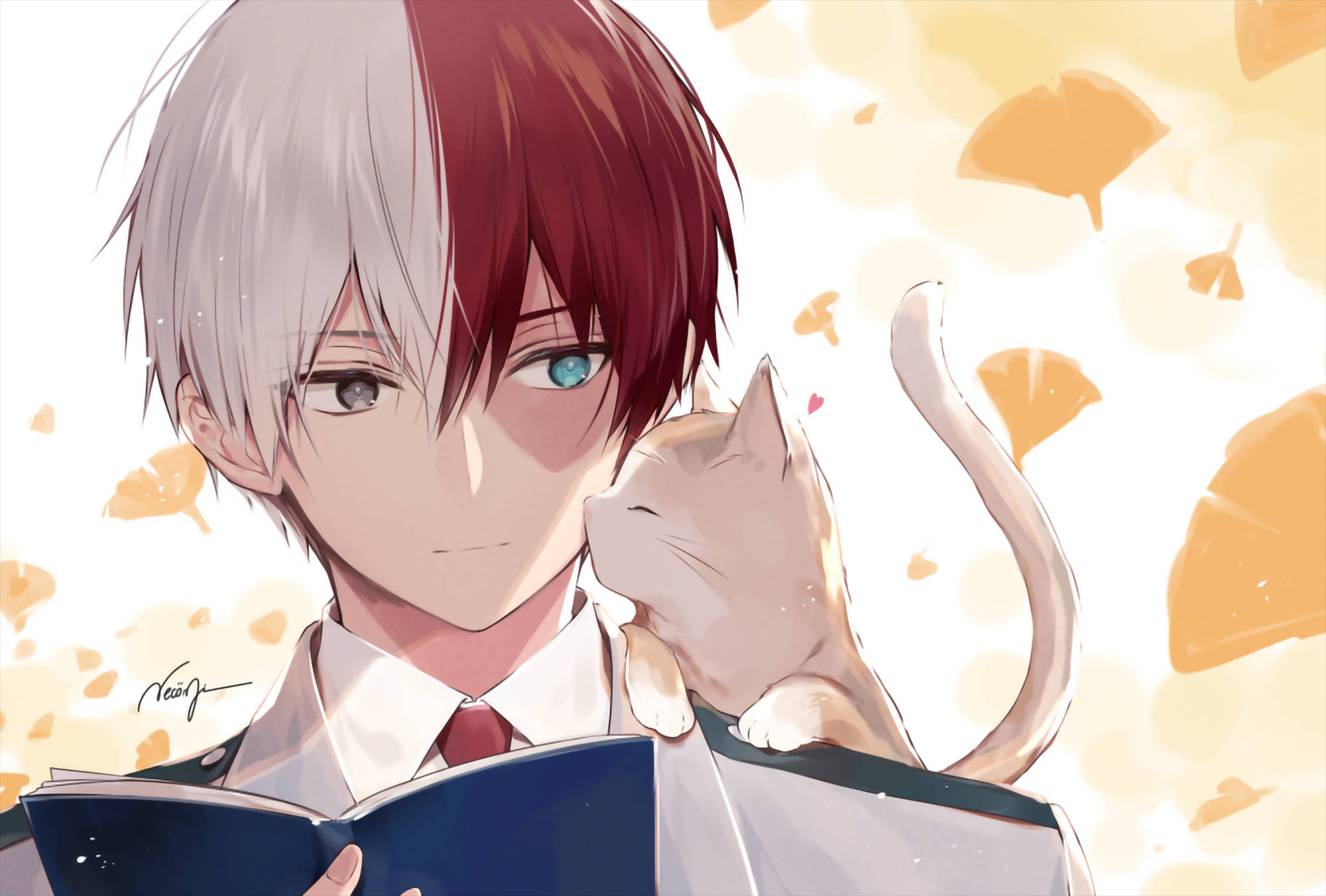 todoroki family 桌布 壁紙 — 一個半紅半銀髮的動漫男孩穿著校服在讀書，一隻貓用臉頰蹭他，背景是飄落的金色樹葉。