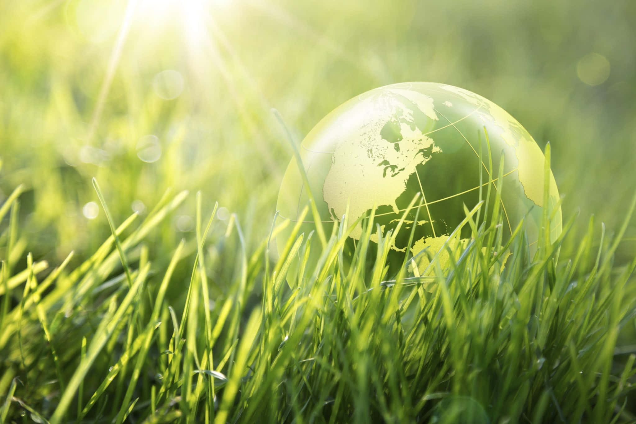 Green Economy 桌布 壁紙 — 一個半透明的地球儀放在充滿活力的綠色草地上，背景有陽光穿透而出。