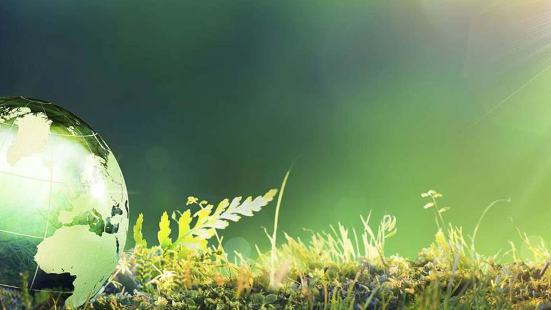 Green Landscape 桌布 壁紙 — 一個半透明的地球儀放在沐浴在溫暖陽光下並帶有鏡頭光暈的鮮綠色草地上。